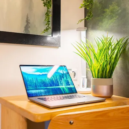 Apartment Le Cosygreen - Central/netflix/wifi Fibre - Sejour Lozere Mende
