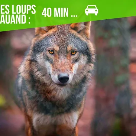 Le Cosygreen - Central/netflix/wifi Fibre - Lozère *
