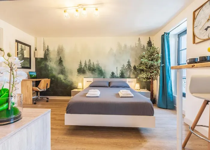 Lejlighed Le Cosygreen - Central/netflix/wifi Fibre - Sejour Lozere Mende