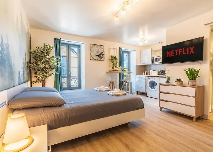 Le Cosygreen - Central/netflix/wifi Fibre - Sejour Lozere * Mende