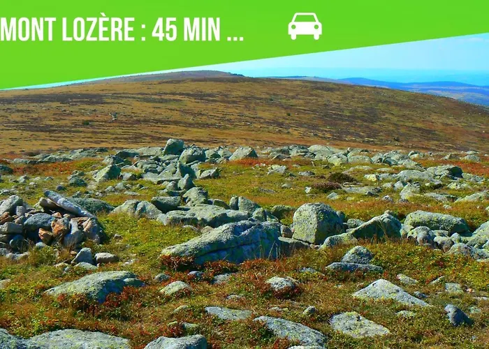 Lejlighed Le Cosygreen - Central/netflix/wifi Fibre - Sejour Lozere