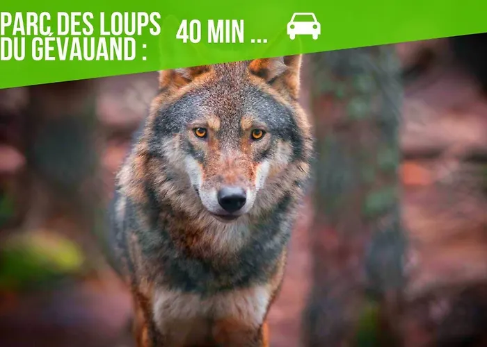 Le Cosygreen - Central/netflix/wifi Fibre - Sejour Lozere *